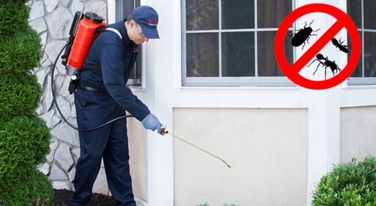 Yenimahalle Tahtakurusu İlaçlama böcek ilaçlama ve haşere kontrolü — ilaclama-tr.com
